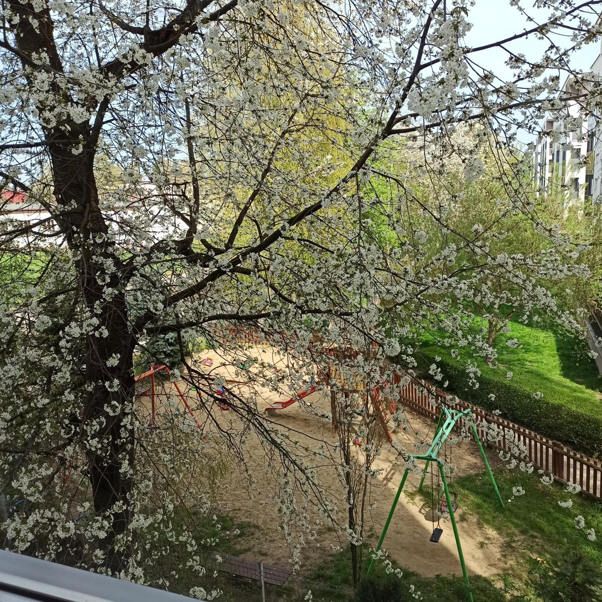 Apartament Dunikowskiego 57M2 Lublin Exteriör bild